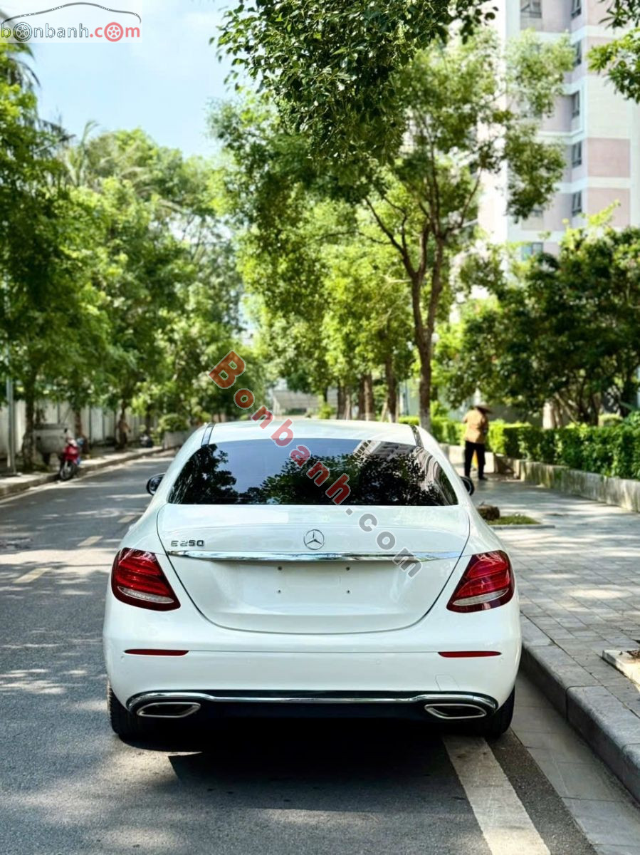 Xe Mercedes Benz E class E250 2017